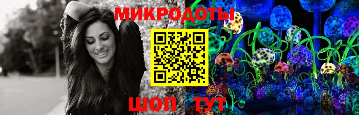 Псилоцибиновые грибы прущие грибы  Вход с VPN  Лесозаводск 