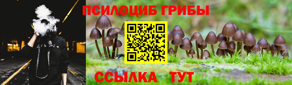 Галлюциногенные грибы мицелий Лесозаводск